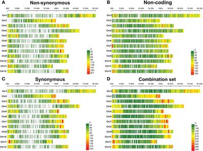 The effect of marker types and density on genomic prediction and GWAS of key performance traits in tetraploid potato